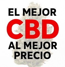 Las mejores ofertas en CBD